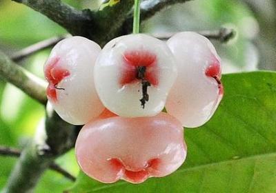 我还是我的句子(必备10句)