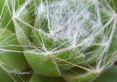 振作起来的句子(优选80句)