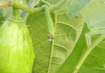 换位思考的句子(共30句)