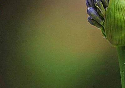 换个角度看问题的句子(热门70句)