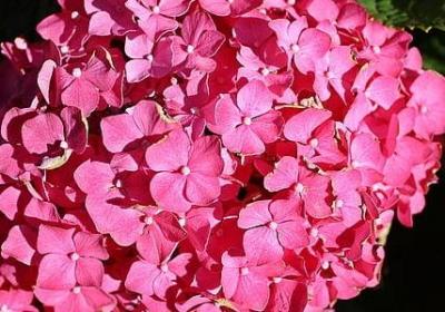 招兵买马招聘的好句子(实用70句) 招兵买马招聘的好句子(实用70句)