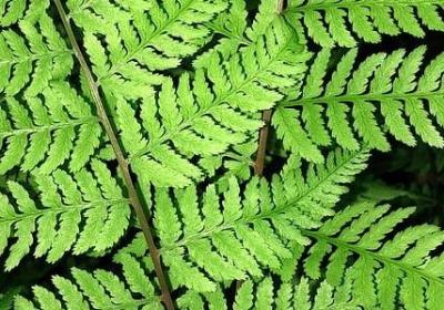 振奋人心的句子(实用70句)