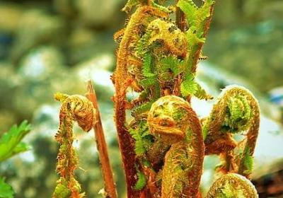 排比的修辞手法的句子(合集10句)