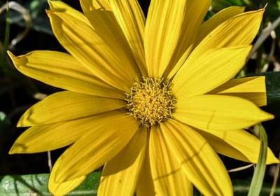 挑战的句子(合集40句)