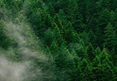 挪威的森林句子(合集10句)