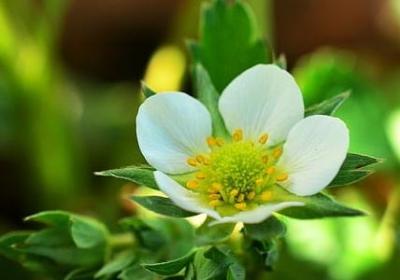 振作起来的句子经典(通用50句)