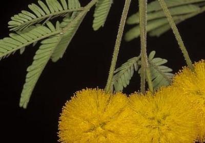 担心心疼一个人的句子(推荐40句)