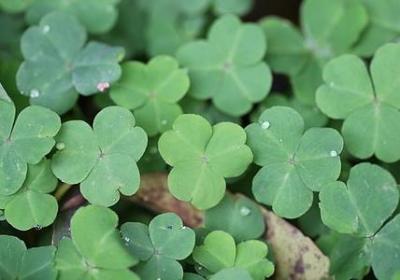 摆架子不尊重人的句子(合集80句)