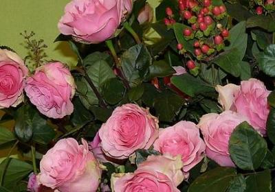 摆渡人里震撼人的句子(精选70句)