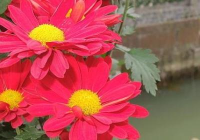 放宽心态不生气的句子(优选50句)