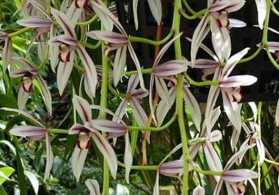 放宽心态的句子(推荐40句)