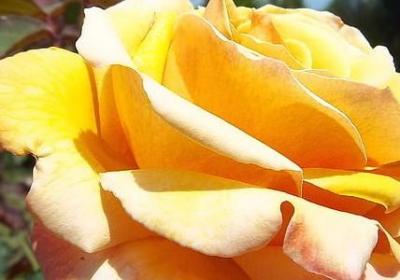 文艺的骂人句子(合集40句)