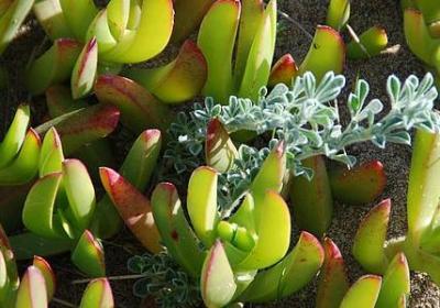 撩男生的句子(共60句)