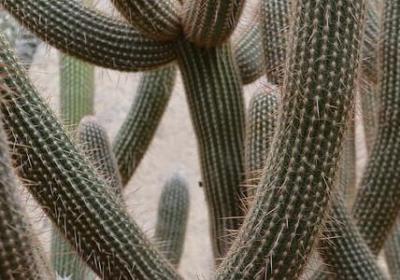 撩对象的句子(实用50句)