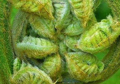 描述人生坎坷的句子(热门54句)