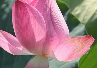 无路可走的句子(必备40句)