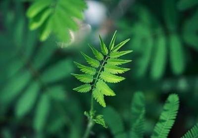 新鲜的句子(实用20句)