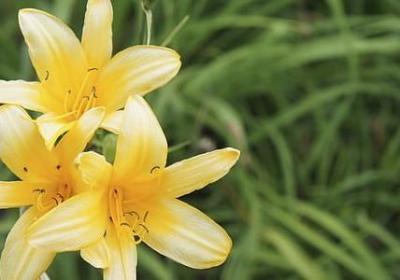 早安励志正能量满满的句子(实用40句)