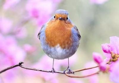 显摆的句子(40句)