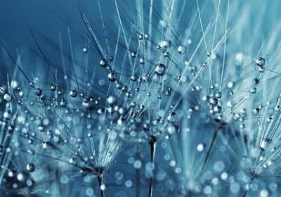 晴空万里心情好的句子(必备50句)