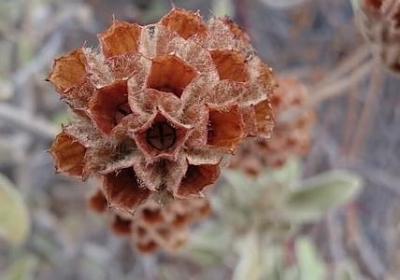 晚上品茶的精美句子(精选40句)