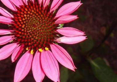 有趣幽默的句子(通用20句)