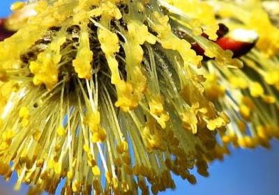 柴米油盐的爱情句子(必备40句)