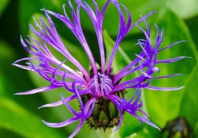 有趣的传话游戏句子(汇总61句)