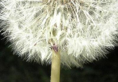 比赛虽败犹荣的句子(通用50句)