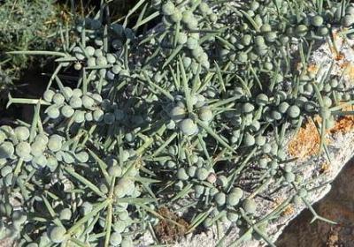 比赛输了的句子(热门80句)