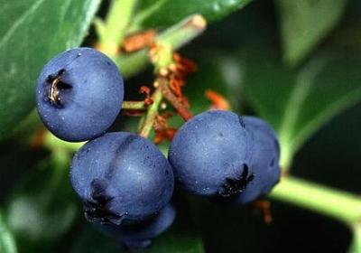 比赛加油打气的句子(优选50句)