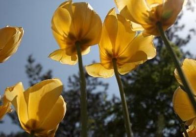 活该被骗的句子(优选50句)