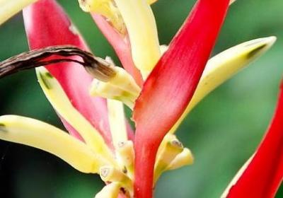 洒脱一点的句子(实用50句)