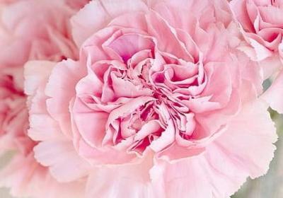 汉服的句子(优选60句)