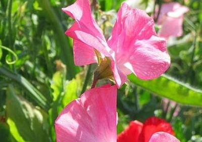 汗水背后的努力的句子(精选10句)