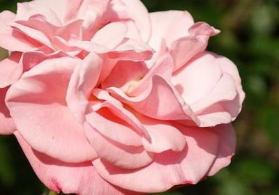 灯红酒绿的句子(实用10句)