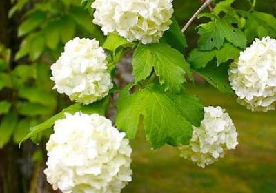 爷爷去世的句子(推荐50句)