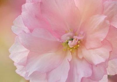 牙疼痛苦霸气的句子(80句)