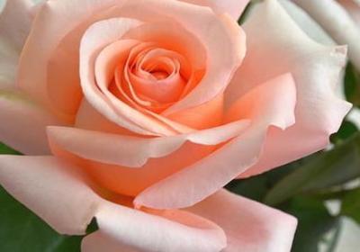 牙疼的搞笑句子(必备50句)