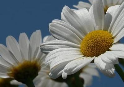 理解支持包容的句子(合集50句)