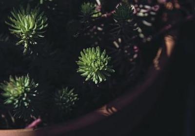 生意红火的句子(共88句)