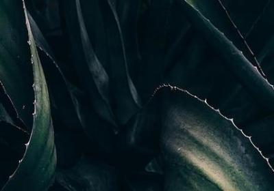 瑜伽的句子(热门80句)