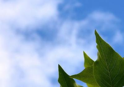 瑜伽语录励志的句子(通用50句)