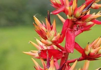 生命轮回的句子唯美(优选40句)