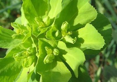 男人悲伤的句子(实用20句)