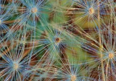 生日感慨的句子(通用48句)