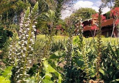 留恋不舍的句子(精选50句)