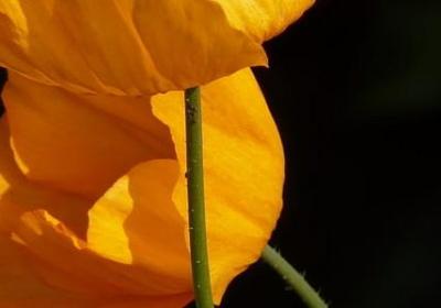 男生励志的句子(合集40句)