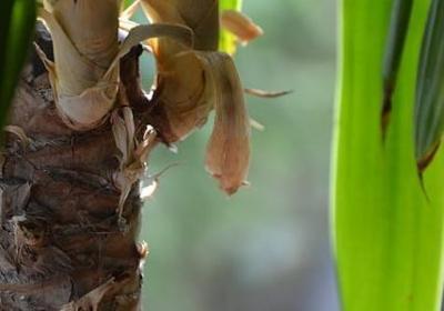 看淡人生的句子霸气(热门80句)