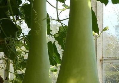 看不上一个人的句子(通用60句)